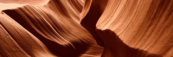 nemolello Profile Banner