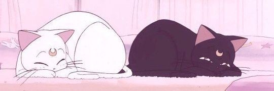 JennZavala's profile banner image
