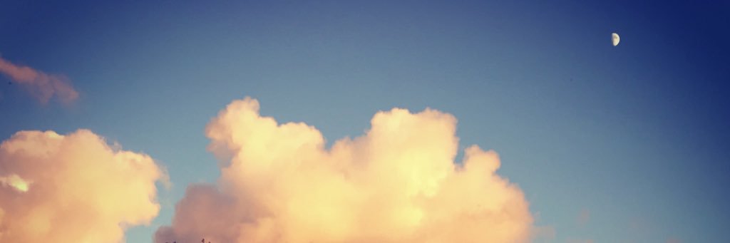 Ravenhwk21's profile banner image