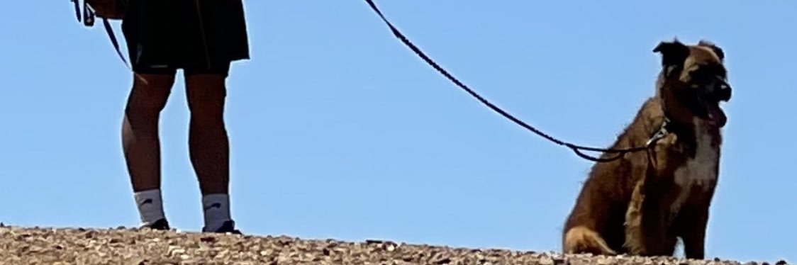 J banner