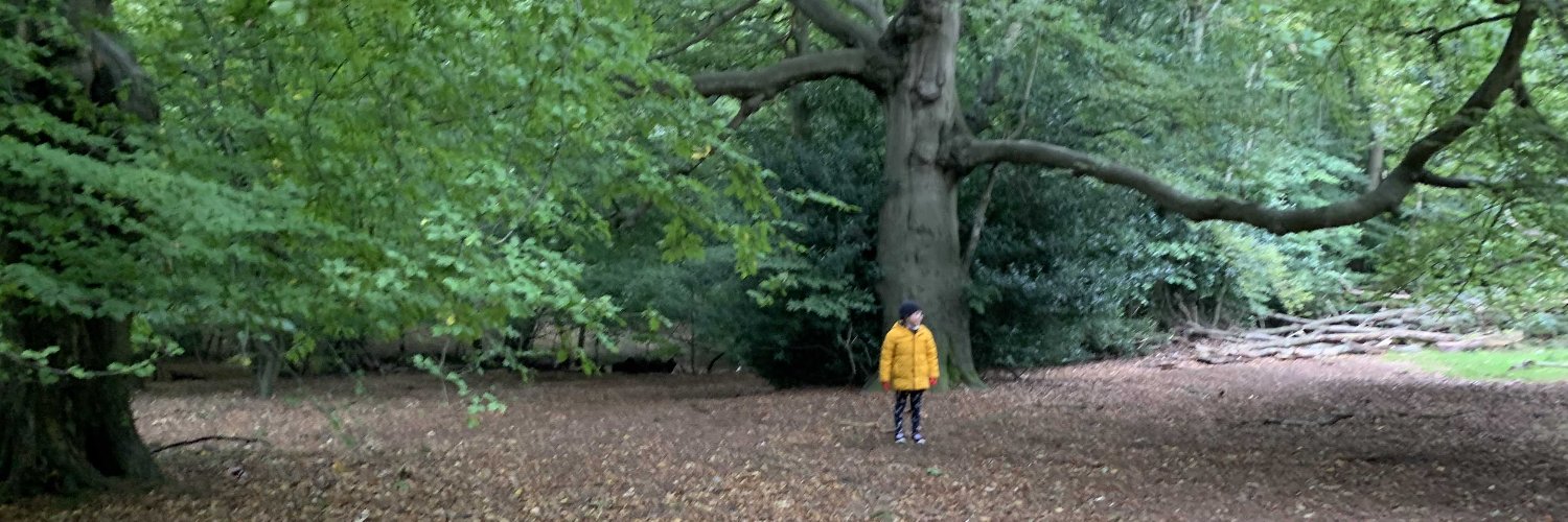 jonolyons's profile banner image