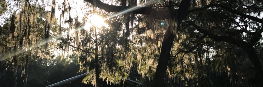 AllyDavisss's profile banner image