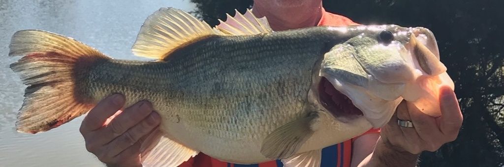 obucketmouth69's profile banner image