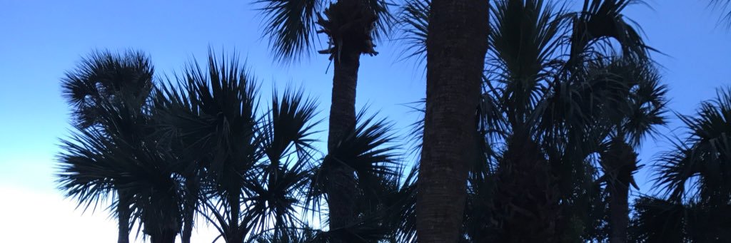 Samantha Krieger banner