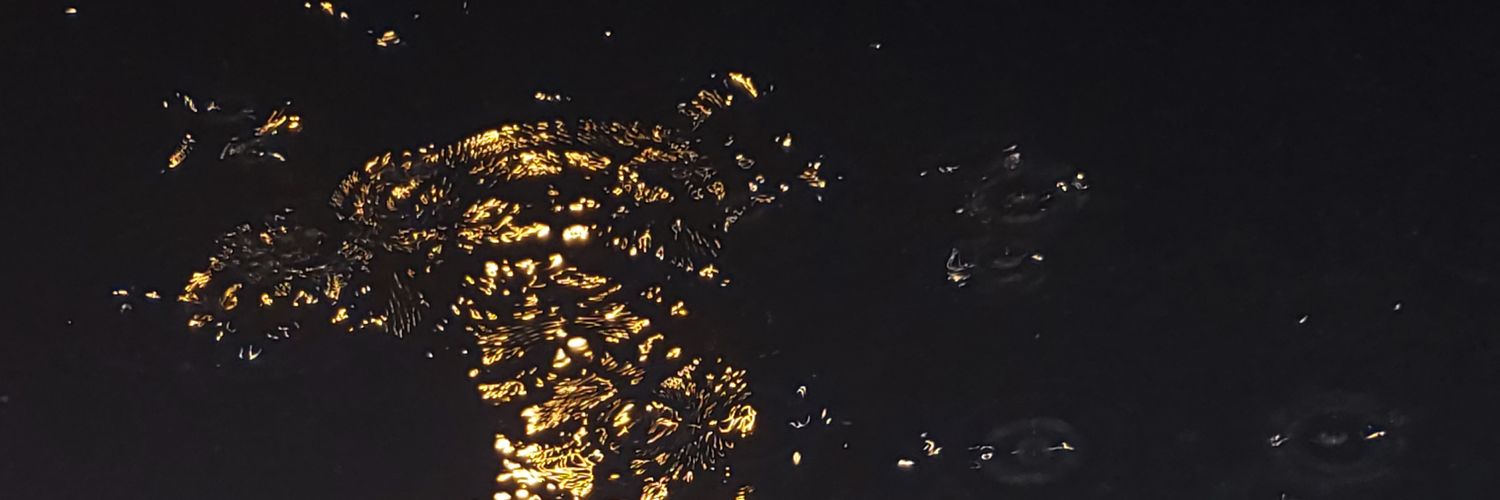 Trevyy_trevv's profile banner image