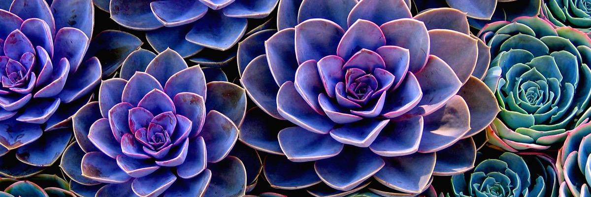 BeccaLRicio's profile banner image