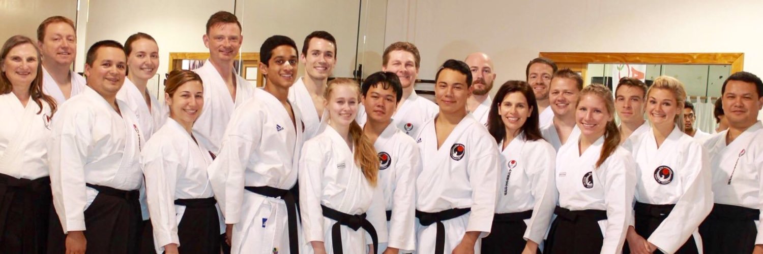 Plano Dojo banner