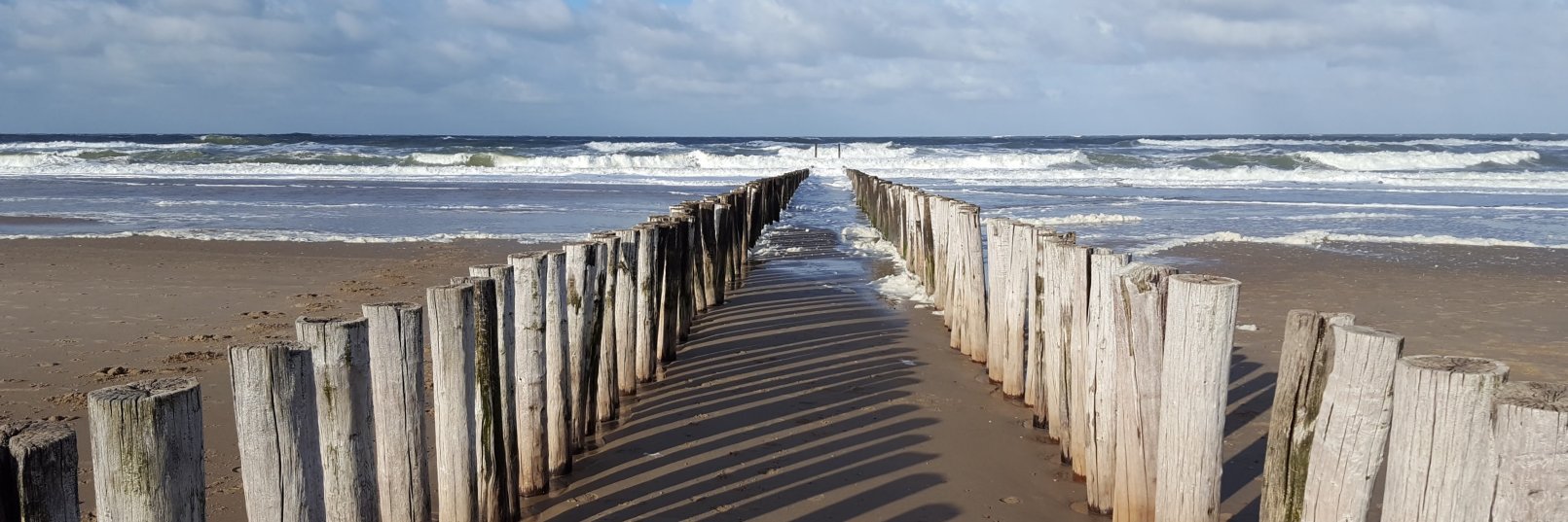JBTZeeland's profile banner image