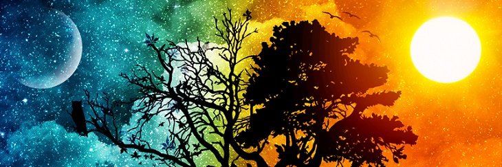 SakakiAzuma281's profile banner image