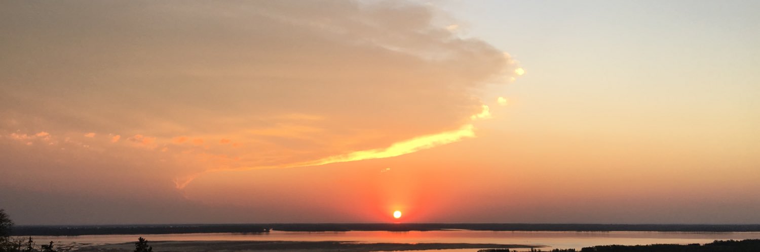 mateusmesturini's profile banner image