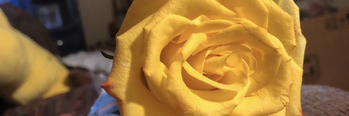 ___abbythompson's profile banner image