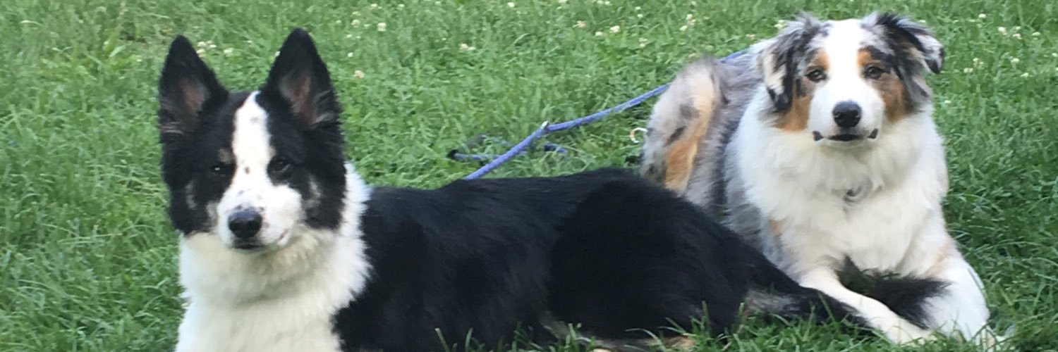 RyanDubDeez's profile banner image