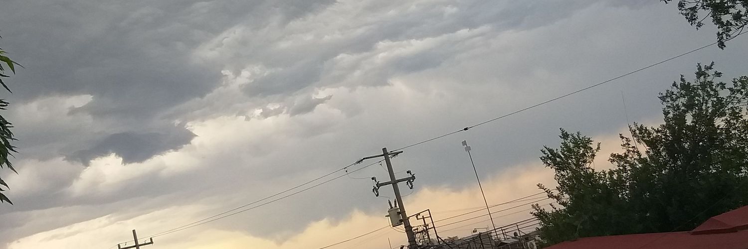 pamelariosc's profile banner image