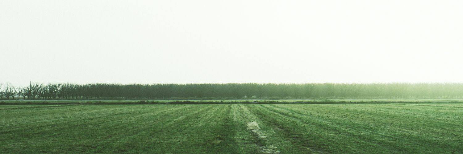diegoluceroR's profile banner image