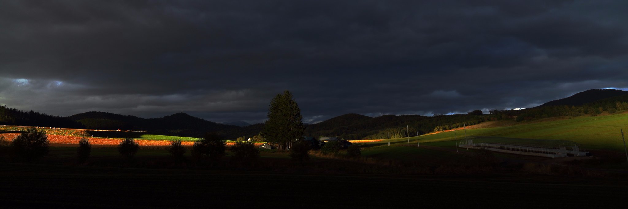 シュレディンガーの箱 banner