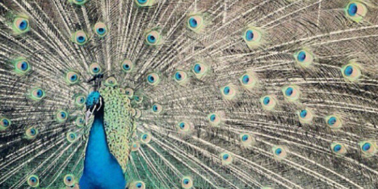 AprilLemonds's profile banner image