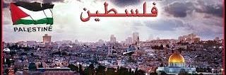 Sema_Oraby's profile banner image
