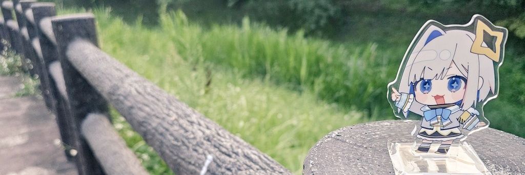 年 💫 banner