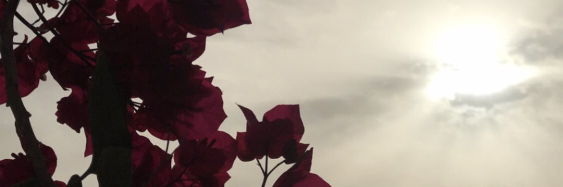 Gehan1400's profile banner image