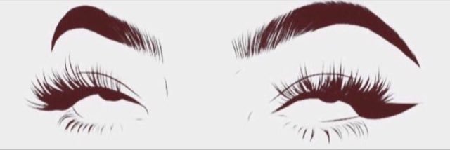 barbridolll's profile banner image