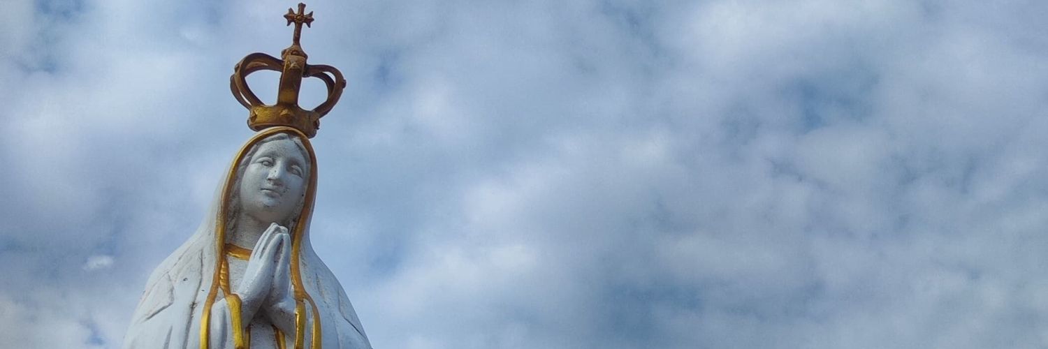 pbrojcastro's profile banner image