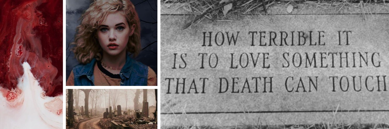 MerriKat 🐈‍⬛ banner