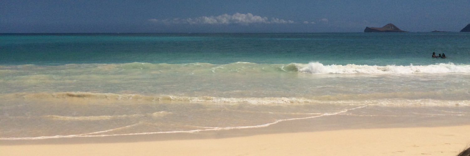 onjamarie's profile banner image