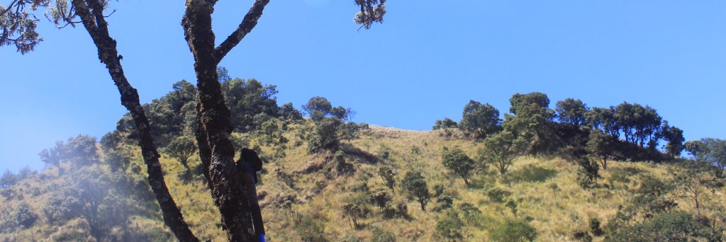 Nining Ardiningrum banner