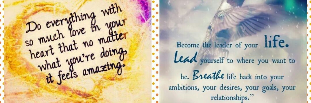 LizCuozzo's profile banner image