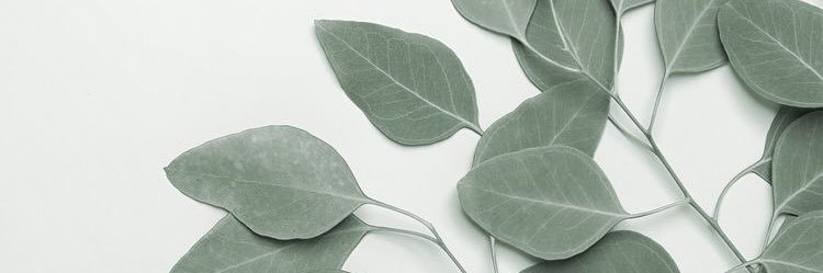 k_beech924's profile banner image