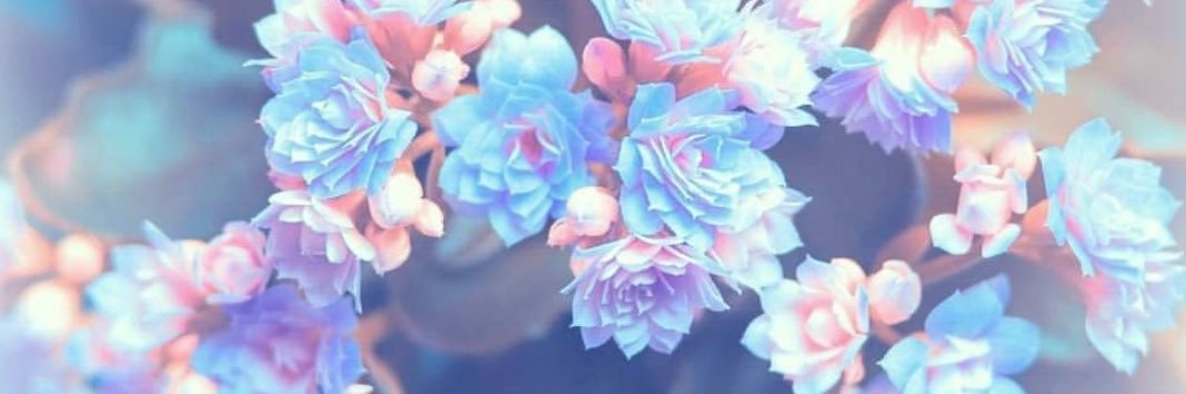 BitchSlap110311's profile banner image