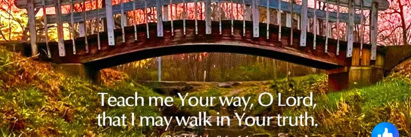 Maria35460142's profile banner image
