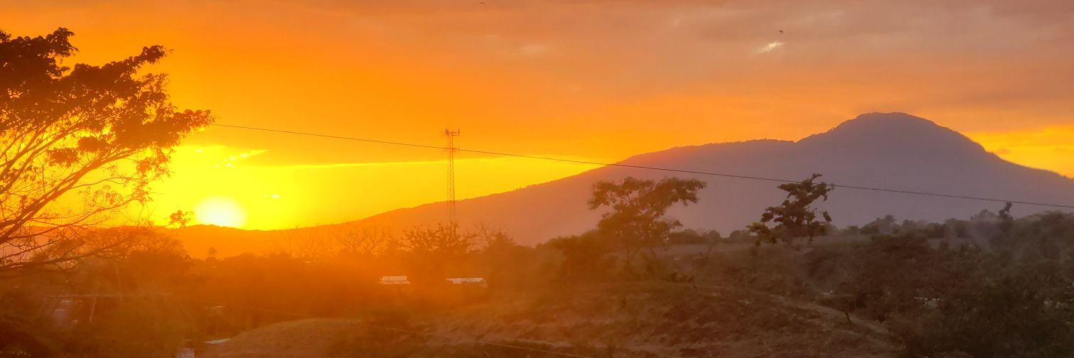 Alex Munguia banner