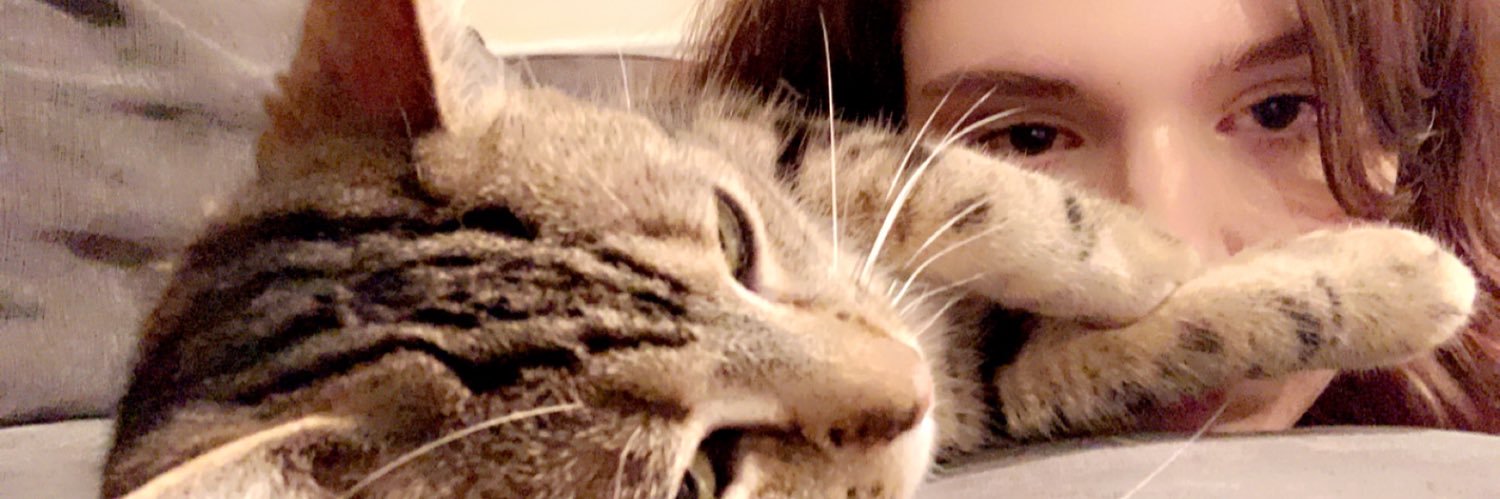 monsterbbean's profile banner image