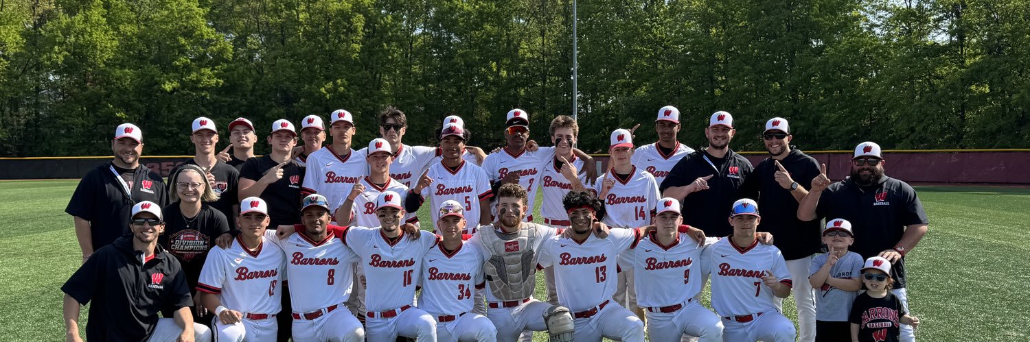 Woodbridge HS Baseball banner
