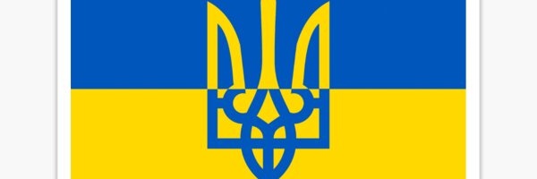 D Zessin banner