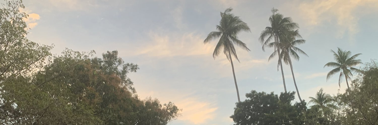 Emily Marie✨ banner
