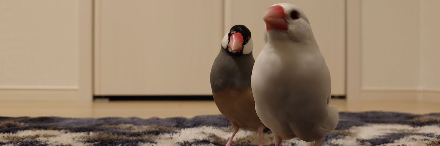 aflyjcg's profile banner image