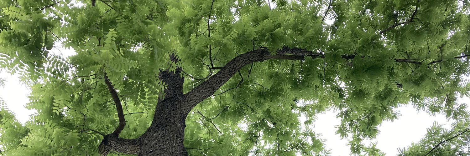 GinzelLab's profile banner image