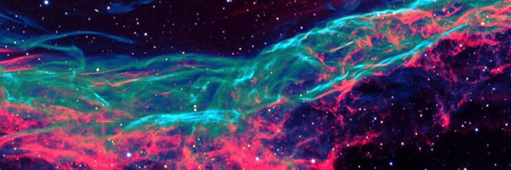 Loliger03054's profile banner image