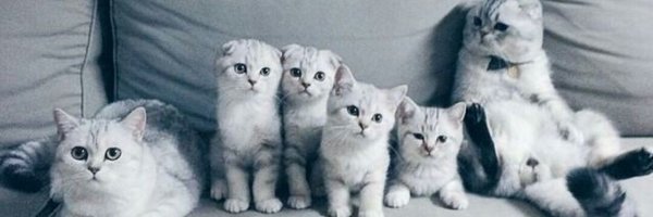 AzimFreak Profile Banner