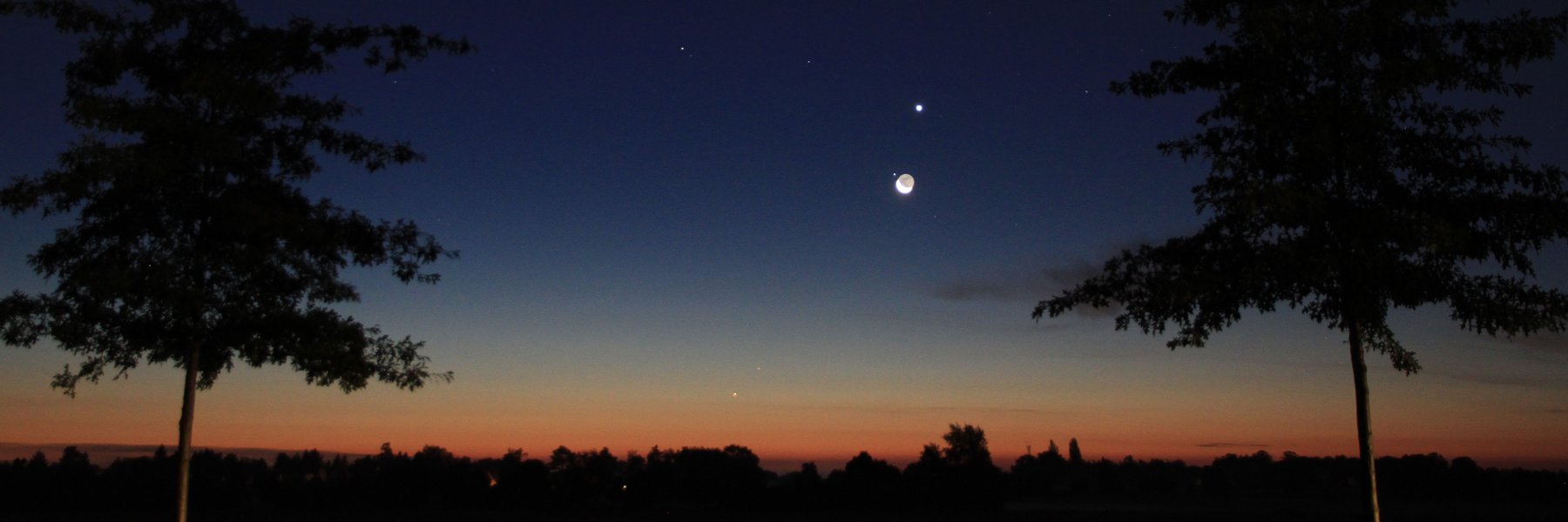 Dr. Manuela Rossol 👩‍🔬🔬🔭 banner