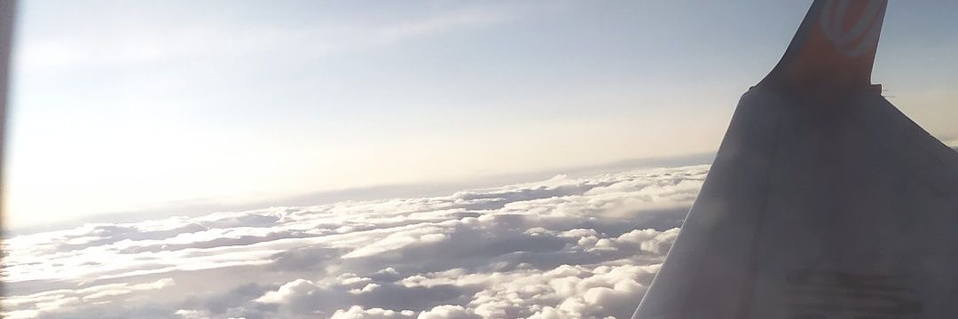ASpadonii's profile banner image