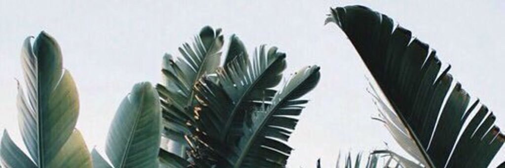 fersg's profile banner image