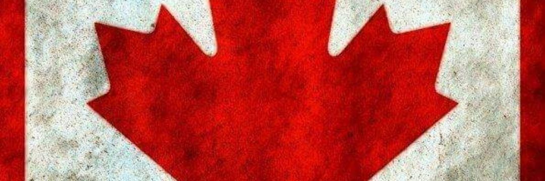cath0520's profile banner image