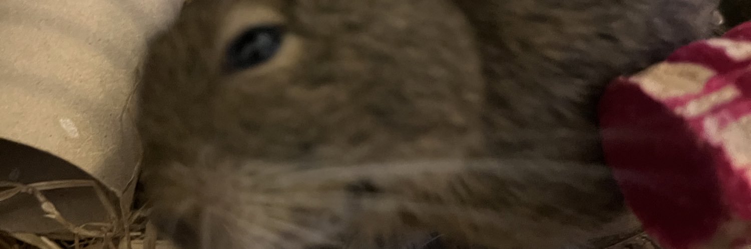jay3079's profile banner image