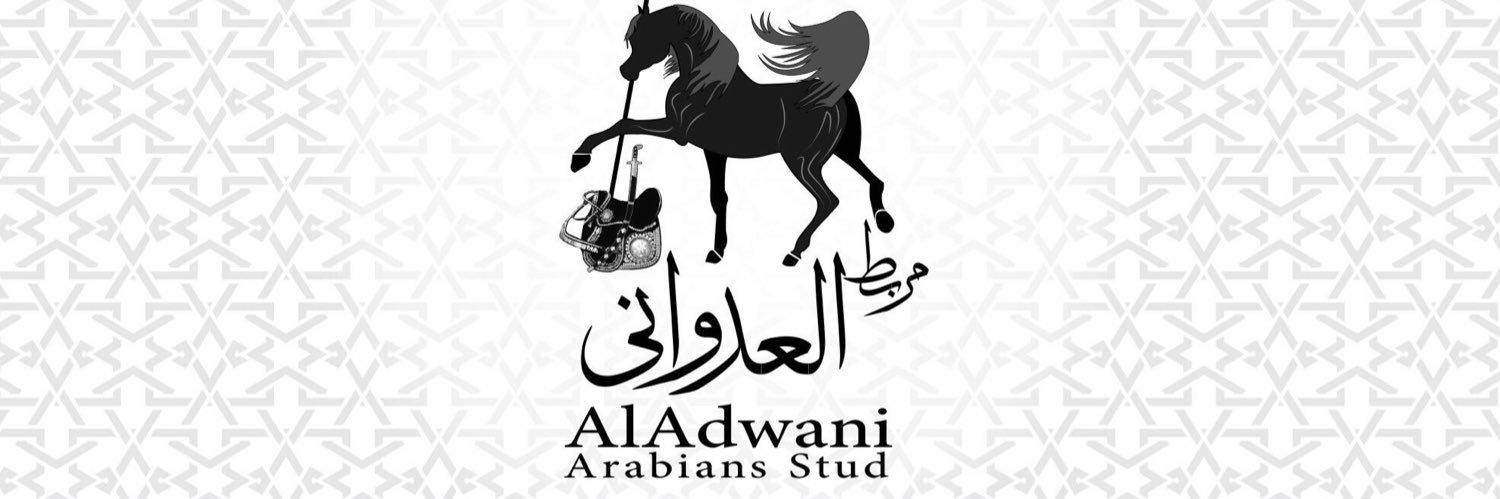 EngAdwan's profile banner image