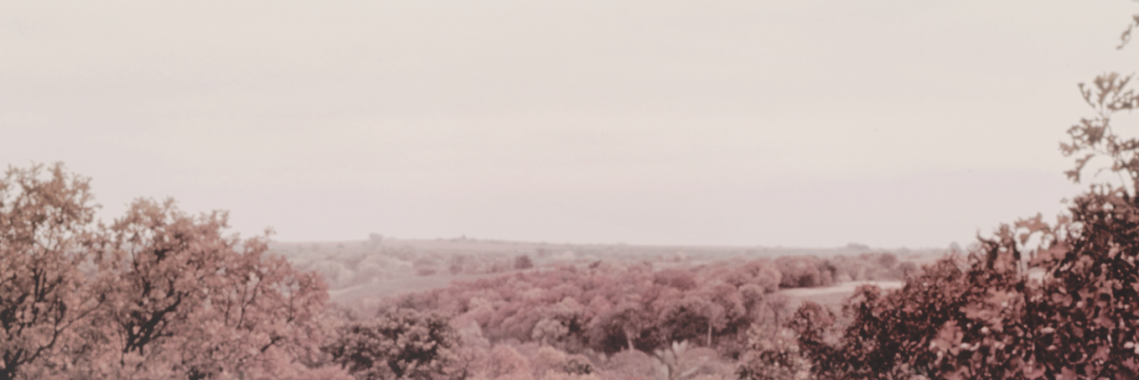 LoganHendersoft's profile banner image