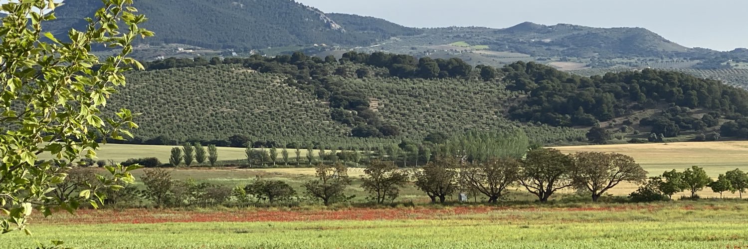 Carmenoquai's profile banner image