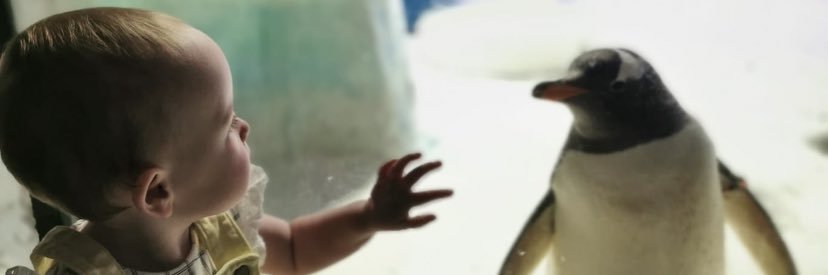 DillShaz's profile banner image